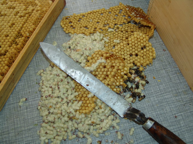 Нож пчеловода для распечатки сотов: электрический и паровой своими руками